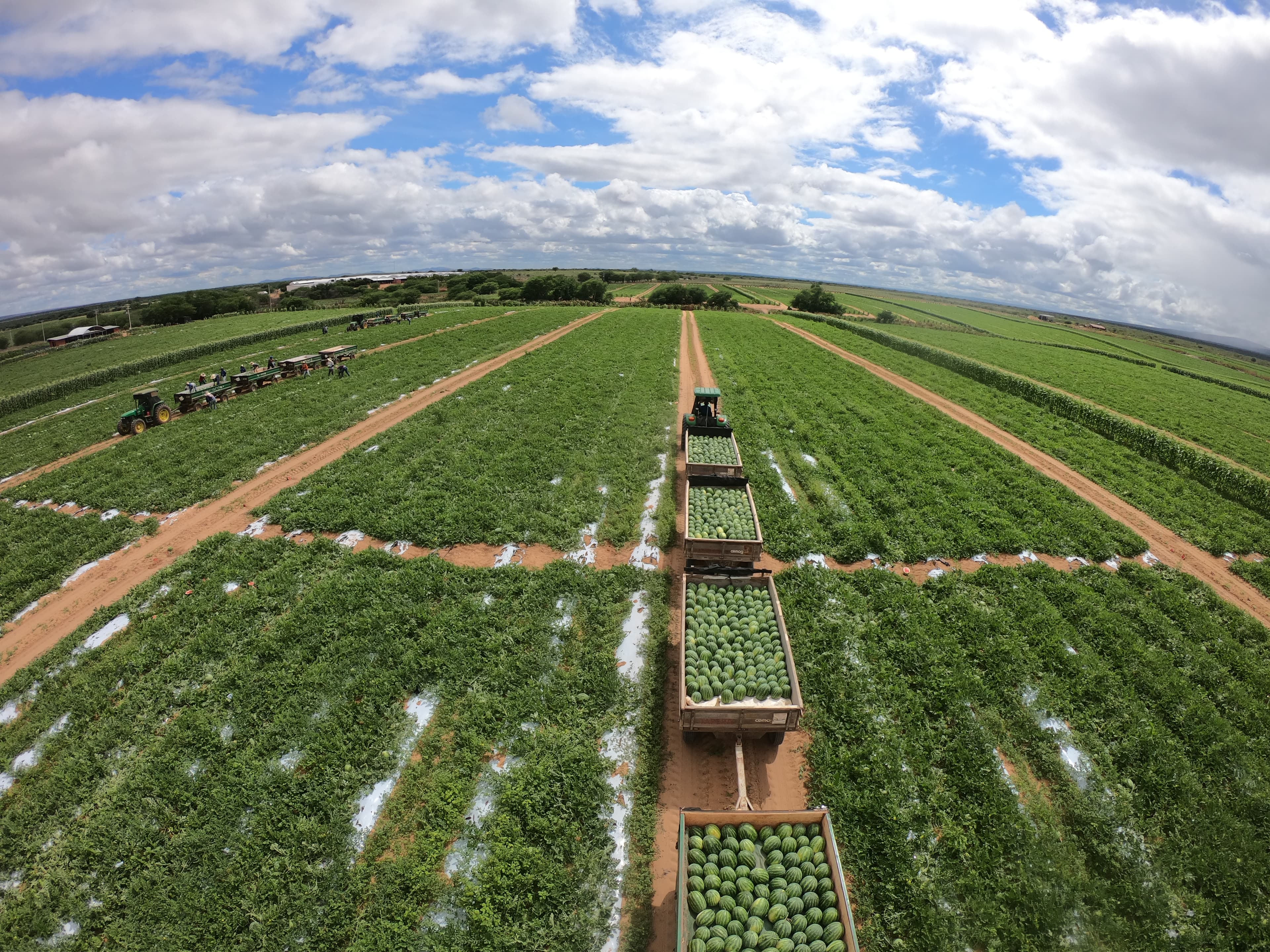 Nutritional Management