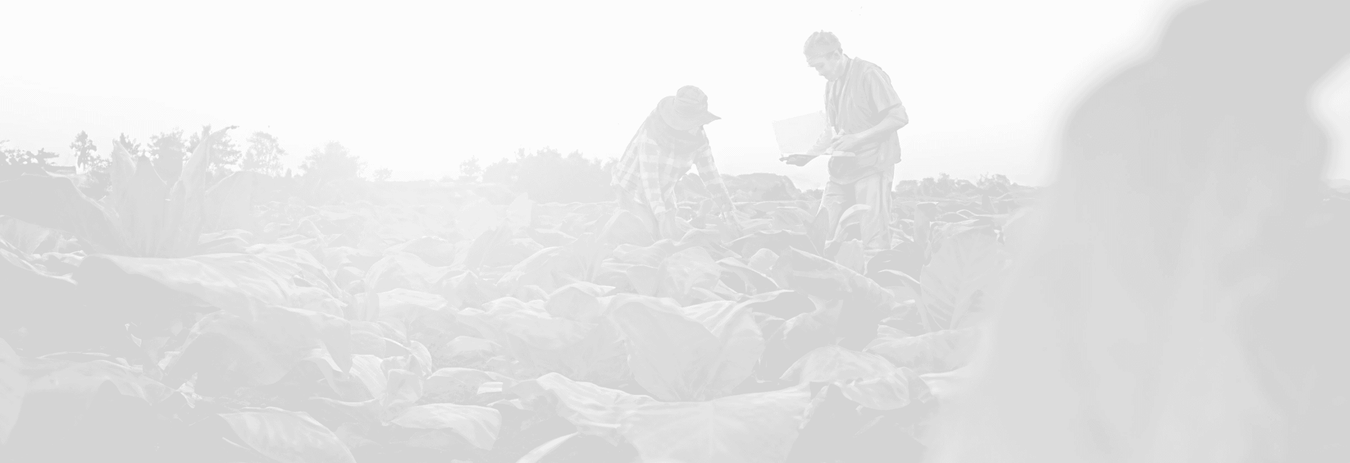 Innovation background